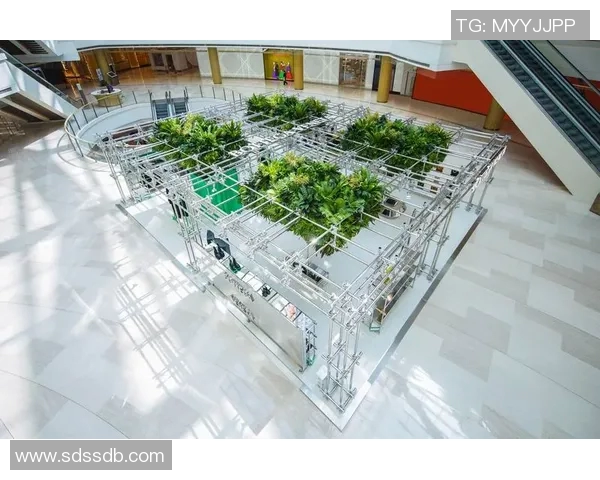 F1赛季车队排名及车手表现总结与展望